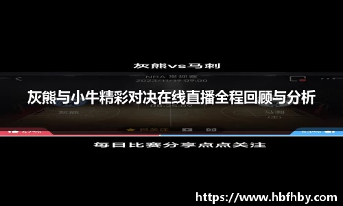 灰熊与小牛精彩对决在线直播全程回顾与分析