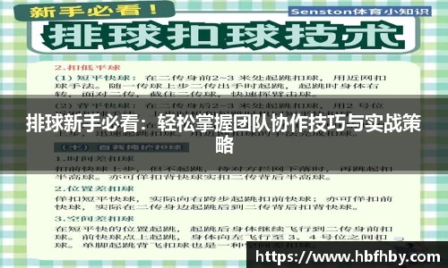3377体育首页
