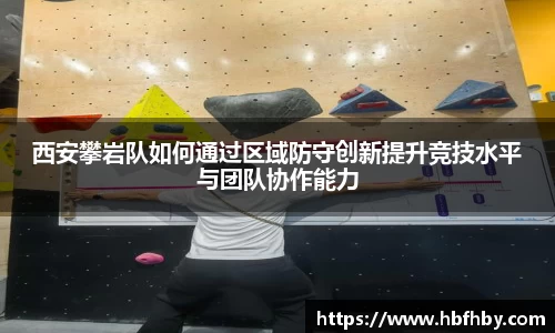 3377体育官网
