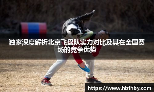 独家深度解析北京飞盘队实力对比及其在全国赛场的竞争优势
